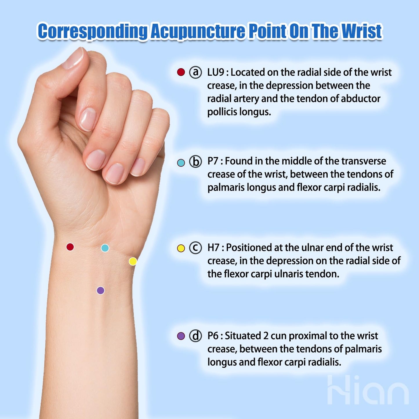 Motion Sickness Bracelets Wristband Sea Sickness for Adult Kids & Pregnant Women, Acupressure Anti Nausea Wristbands for Car Sea Air Cruise Travel Sickness, Relief Motion/Morning Sickness --2Pairs